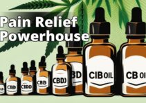Revolutionize Your Pain Management With Cbd Oil: The Ultimate Guide To Relief