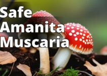 Amanita Muscaria Safety 101: A Step-By-Step Guide To A Safe And Enjoyable Mushroom Experience