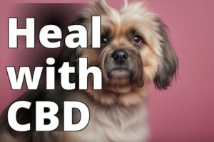 Unlocking The Healing Power Of Cbd Oil For Hot Spots In Dogs: A Must-Have Pet Care Remedy