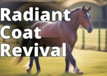 Cbd Oil For Horses: The Ultimate Solution For A Shiny And Healthy Coat