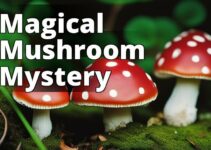 Demystifying The Legal Status Of Amanita Muscaria Mushrooms: A Complete Guide