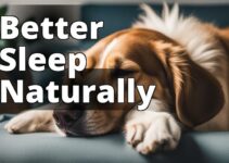 Discover The Power Of Cbd For Dogs Sleep Improvement Nearby: A Pet Parent’S Guide